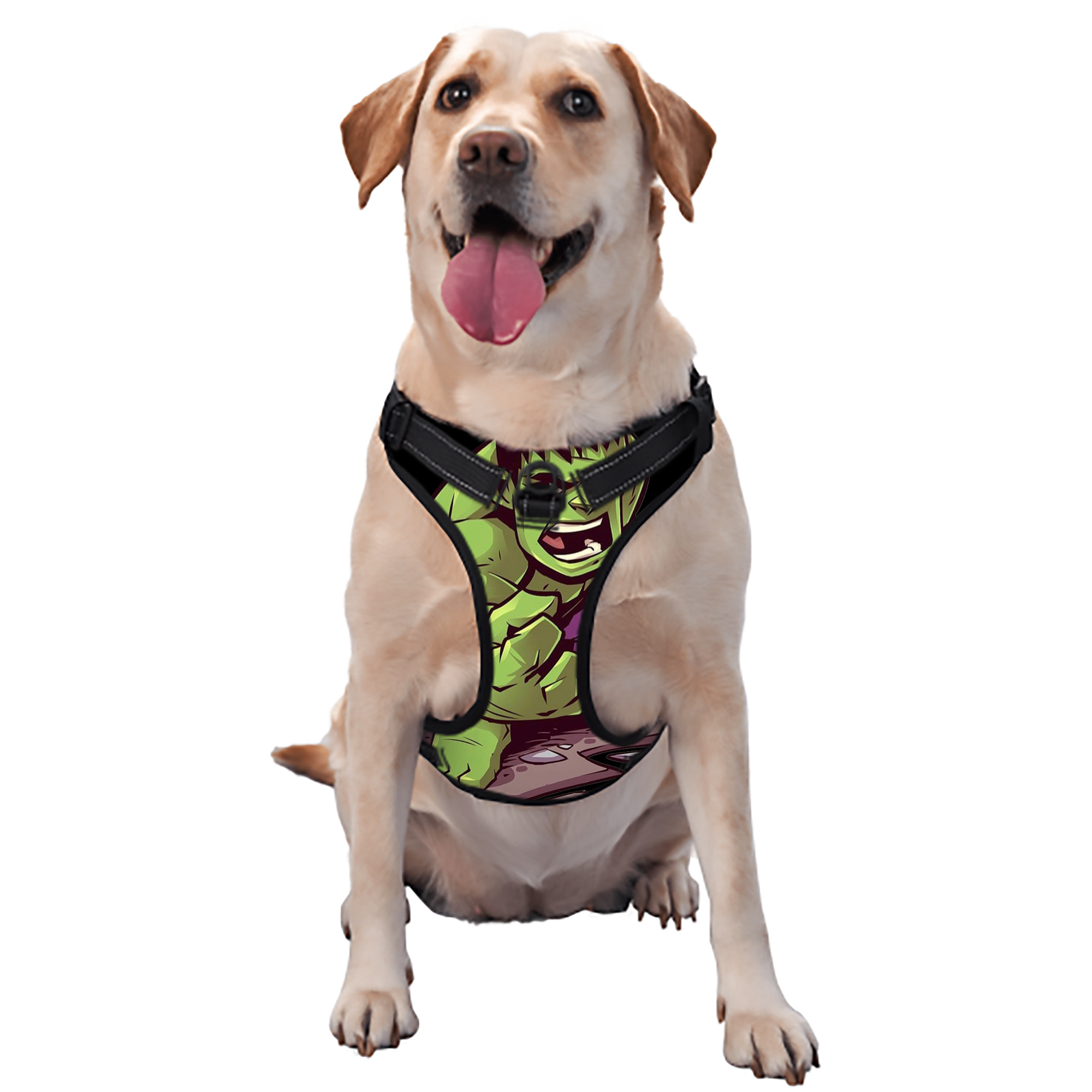 （画像用） アベンジャーズ The Avengers ペット用ハーネス